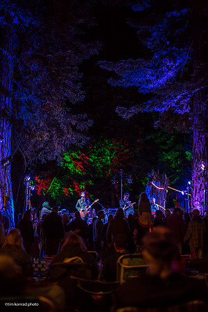 Redwood Ramble, 2015