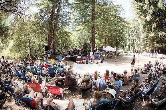 Redwood Ramble, 2015