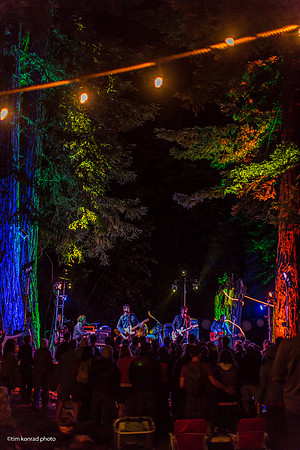 Redwood Ramble, 2015