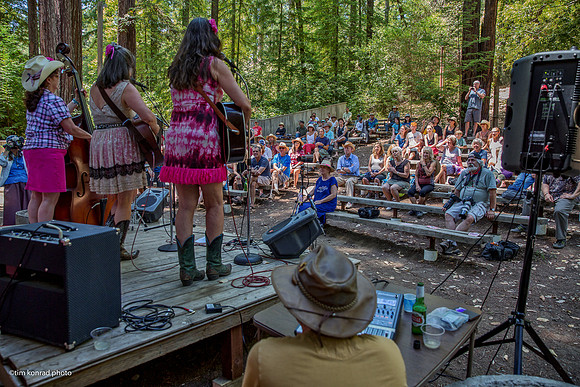 Redwood Ramble, 2015
