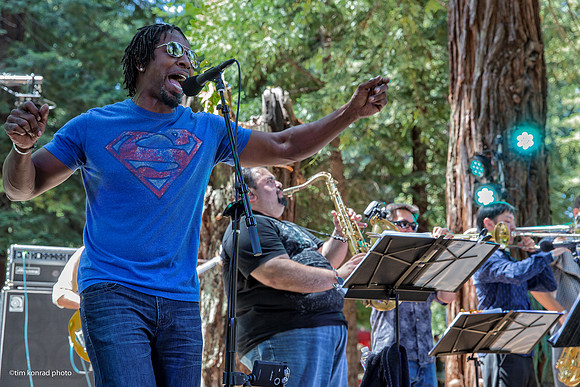 Redwood Ramble, 2015