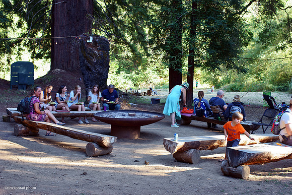 Redwood Ramble, 2015