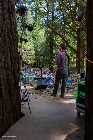 Redwood Ramble, 2015