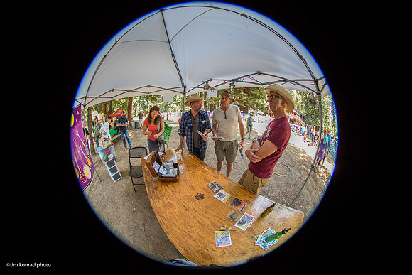 Redwood Ramble, 2015