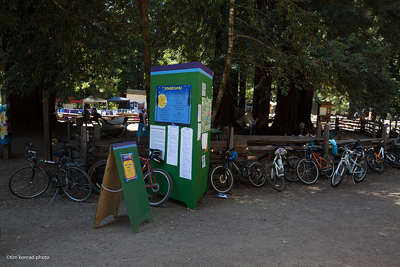 Redwood Ramble, 2015