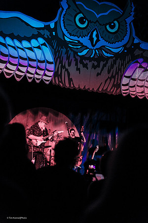 Kate Wolf Music Festival, 2015