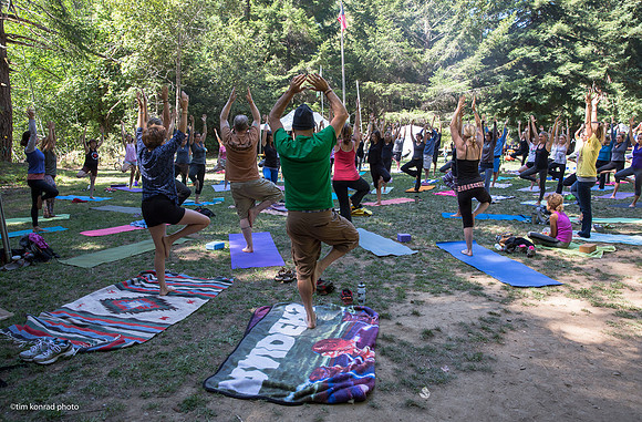 Redwood Ramble, 2015