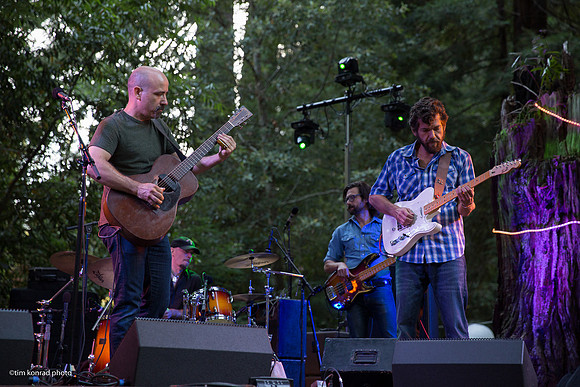 Redwood Ramble, 2015