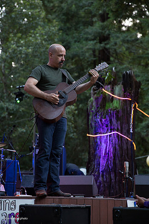 Redwood Ramble, 2015