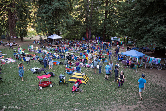 Redwood Ramble, 2015
