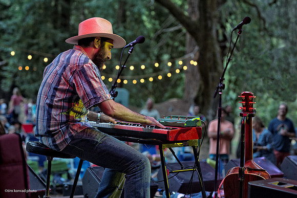 Redwood Ramble, 2015
