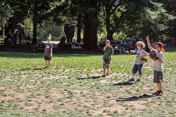 Redwood Ramble, 2015