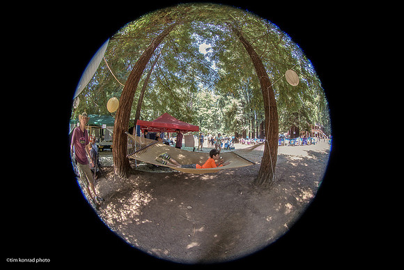 Redwood Ramble, 2015