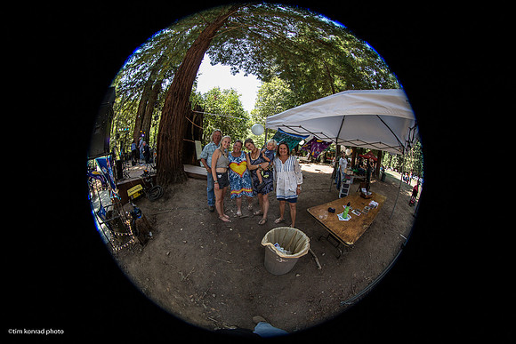 Redwood Ramble, 2015