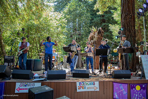 Redwood Ramble, 2015