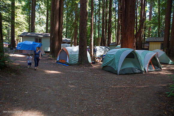 Redwood Ramble, 2015