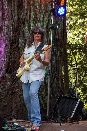 Redwood Ramble, 2015