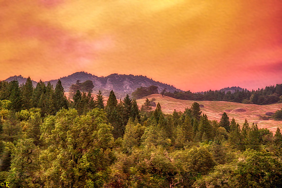 Mendocino Evening Light
