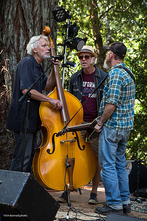 Redwood Ramble, 2015