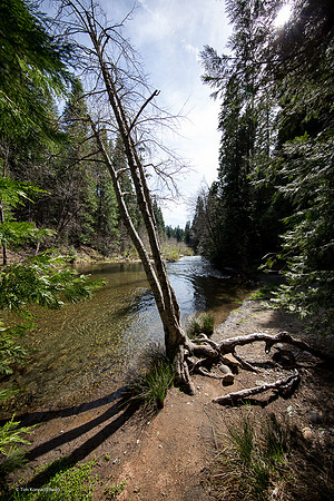 Beaver Creek, Calaveras County, CA, April 19, 2016