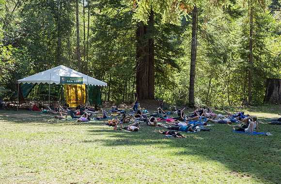 Redwood Ramble, 2015