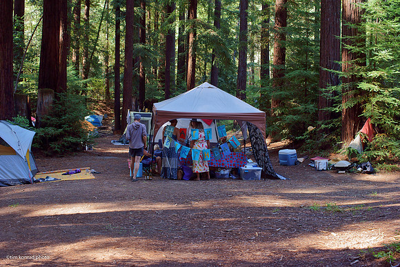 Redwood Ramble, 2015