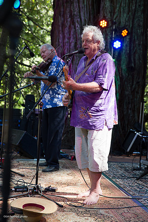 Redwood Ramble, 2015