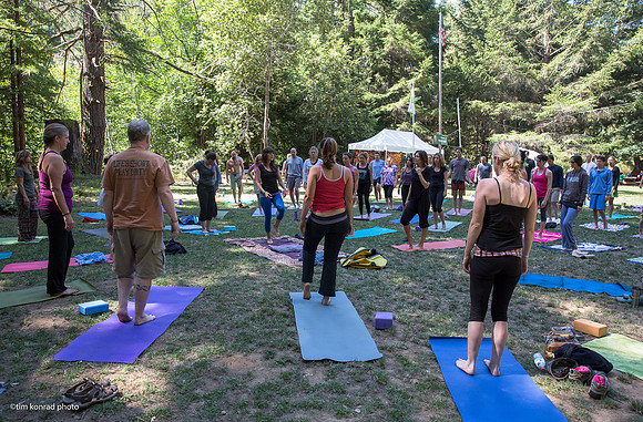 Redwood Ramble, 2015