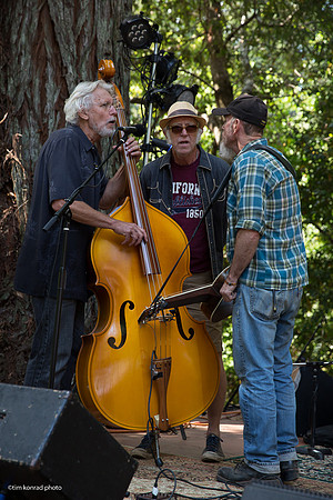 Redwood Ramble, 2015