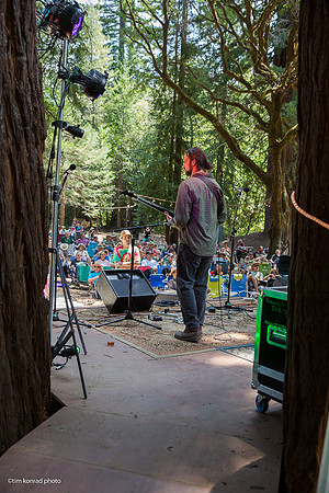 Redwood Ramble, 2015