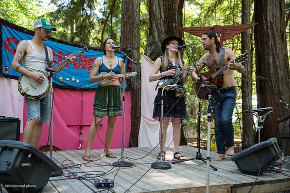 Redwood Ramble, 2015