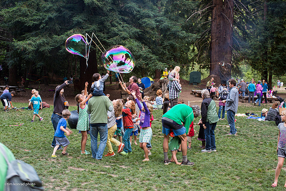 Redwood Ramble, 2015