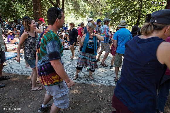 Redwood Ramble, 2015