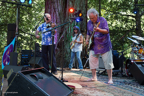 Redwood Ramble, 2015