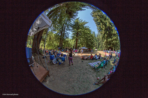 Redwood Ramble, 2015