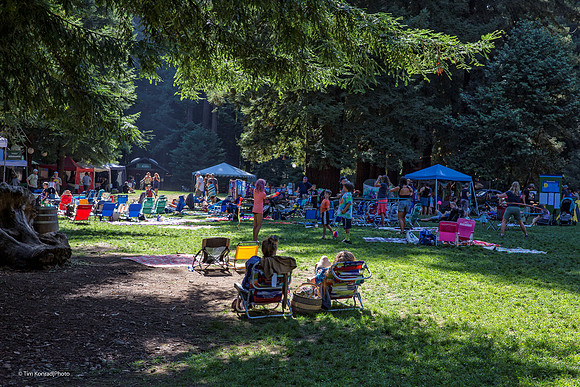 Redwood Ramble, Camp Navarro, 2015
