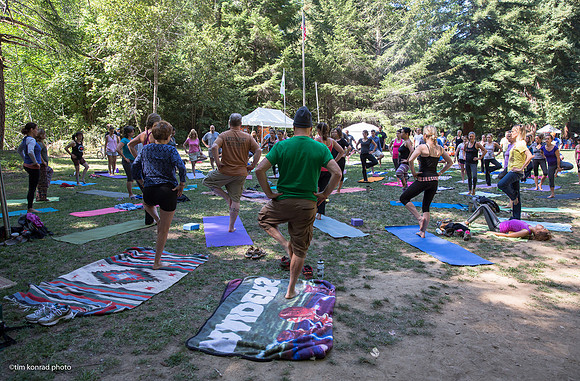 Redwood Ramble, 2015