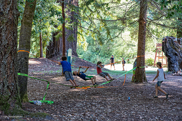 Redwood Ramble, 2015