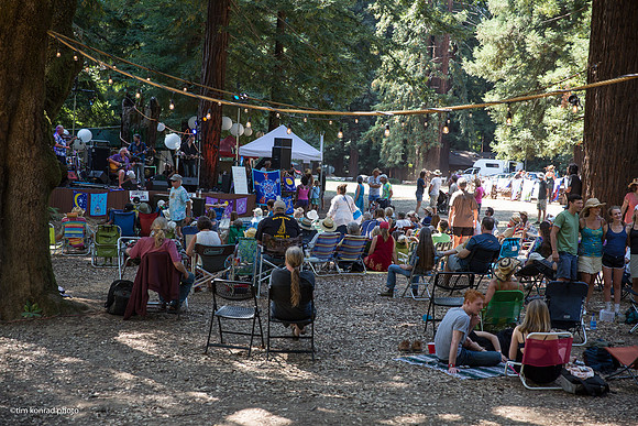 Redwood Ramble, 2015