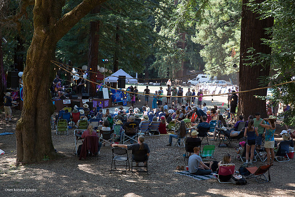 Redwood Ramble, 2015