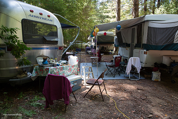 Redwood Ramble, 2015