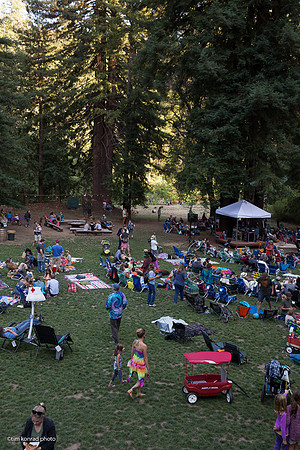 Redwood Ramble, 2015