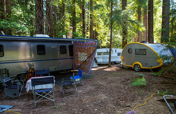 Redwood Ramble, 2015