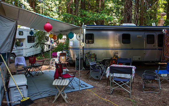 Redwood Ramble, 2015