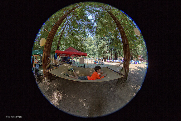 Redwood Ramble, Camp Navarro, 2015