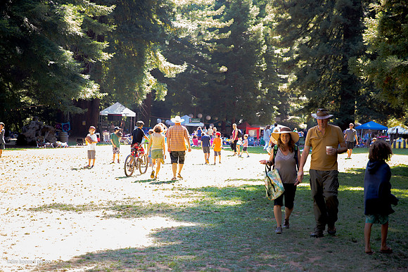 Redwood Ramble, 2015