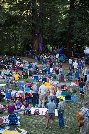 Redwood Ramble, 2015