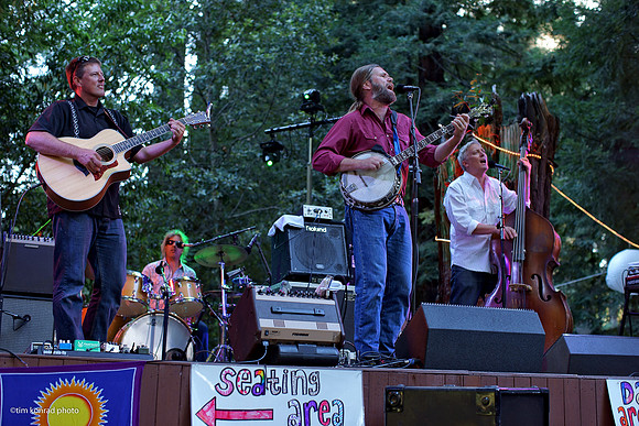 Redwood Ramble, 2015