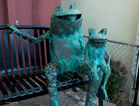 Hoppy sidelined by a missing leg, Murphys, CA, April 21, 2016
