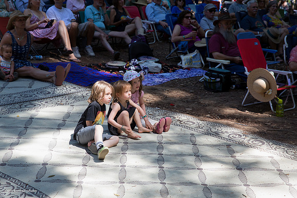 Redwood Ramble, 2015
